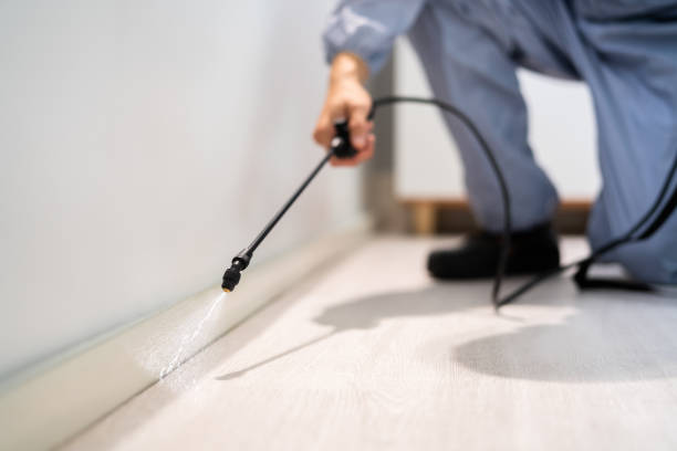 Licensed Cockroach Control service in Ricardo, TX - Nex Pest Control