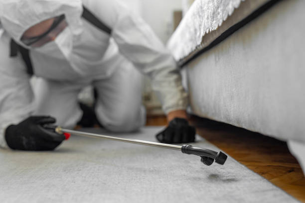 Professional Cockroach Control technician working in Ricardo, TX