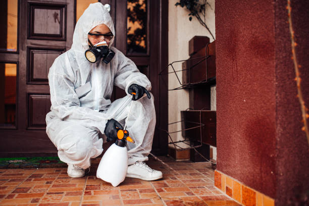 Reliable Cockroach Control contractor in Ricardo, TX by Nex Pest Control
